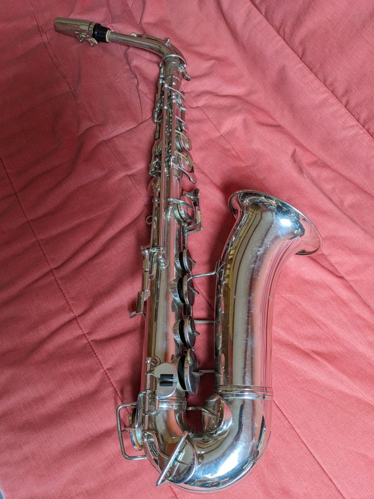 Saxophone alto Sternberg