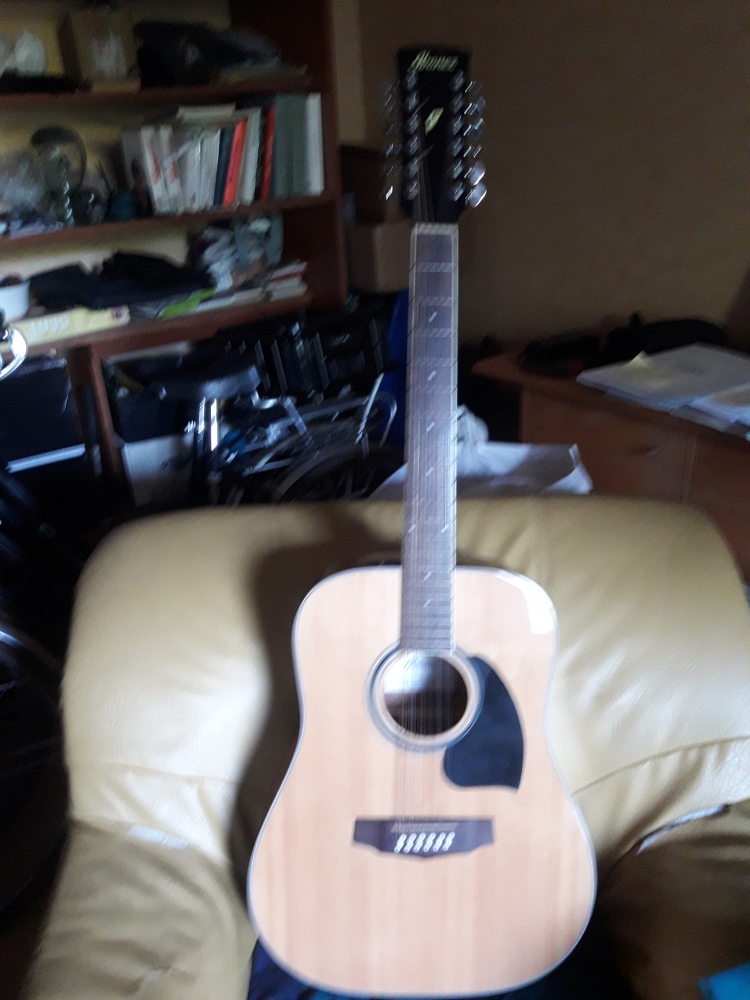 Guitare folk Ibanez PF1512-NT