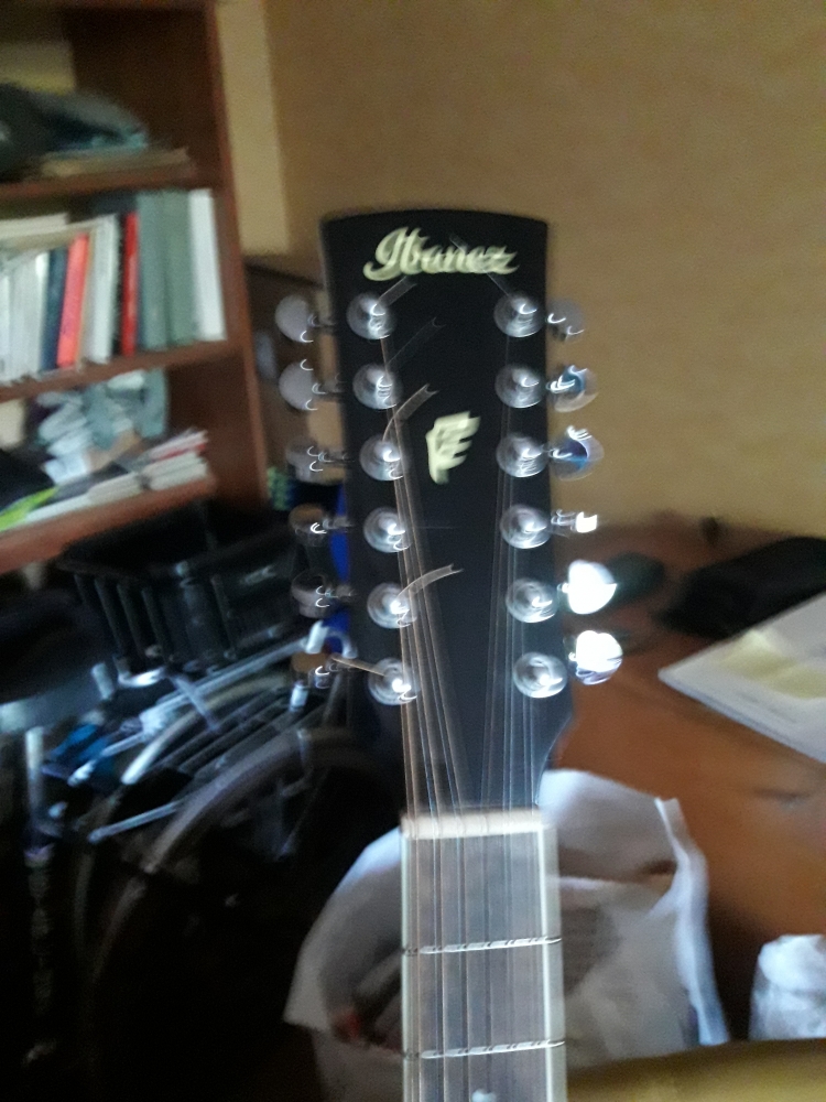 Guitare folk Ibanez PF1512-NT