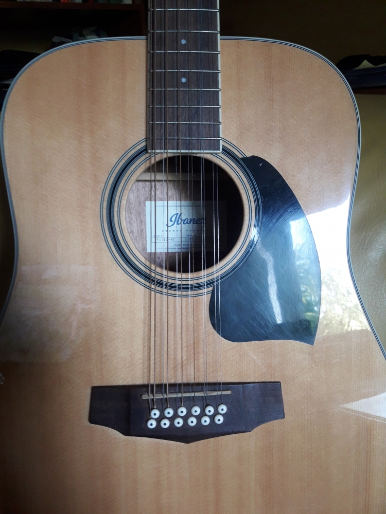 Guitare folk Ibanez PF1512-NT