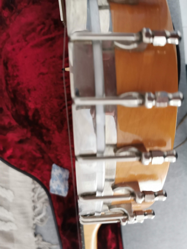 Banjo 4 cordes Bluegrass