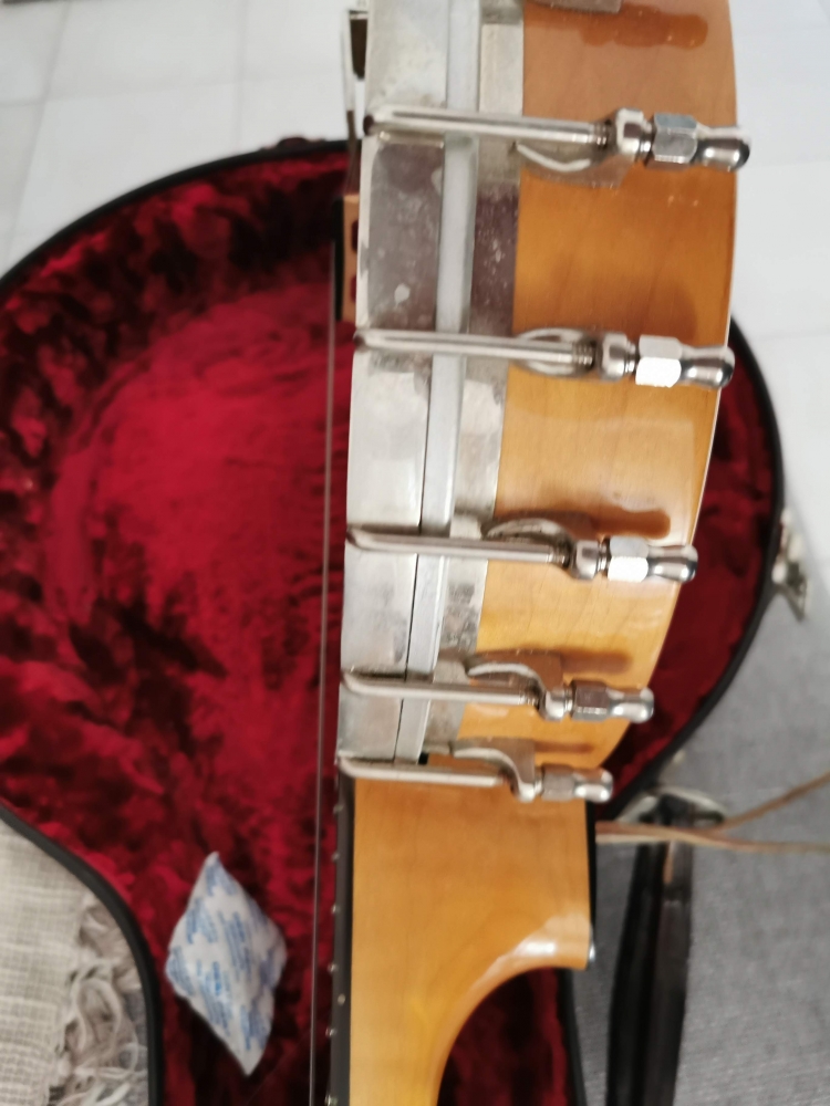 Banjo 4 cordes Bluegrass