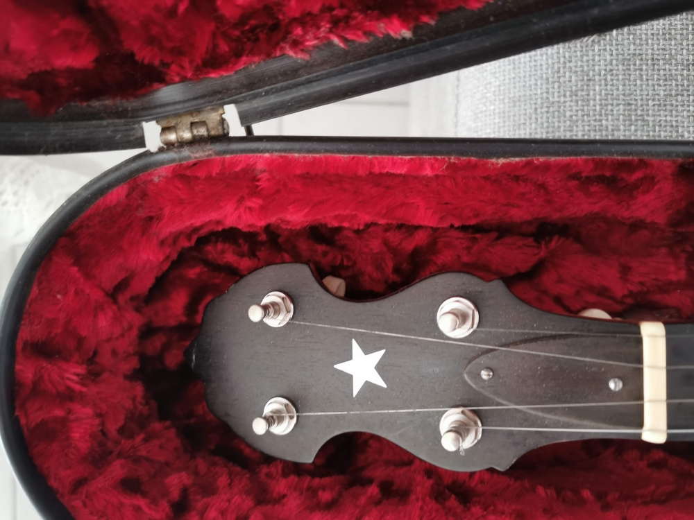 Banjo 4 cordes Bluegrass