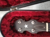 Banjo 4 cordes Bluegrass