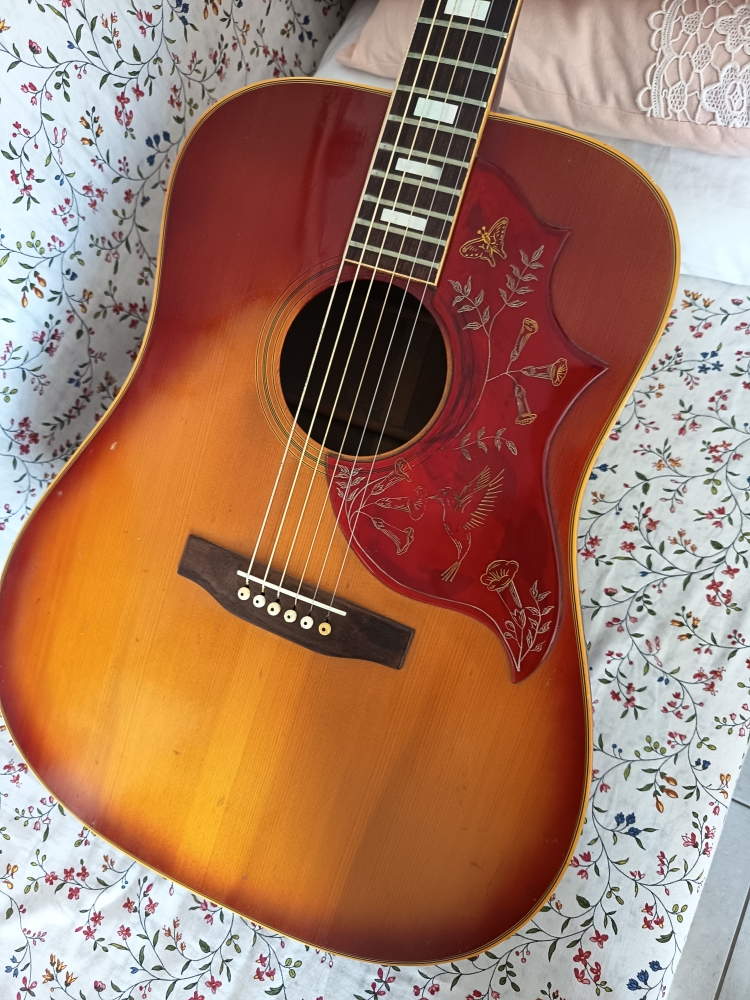 Guitare Gibson Hummingbird