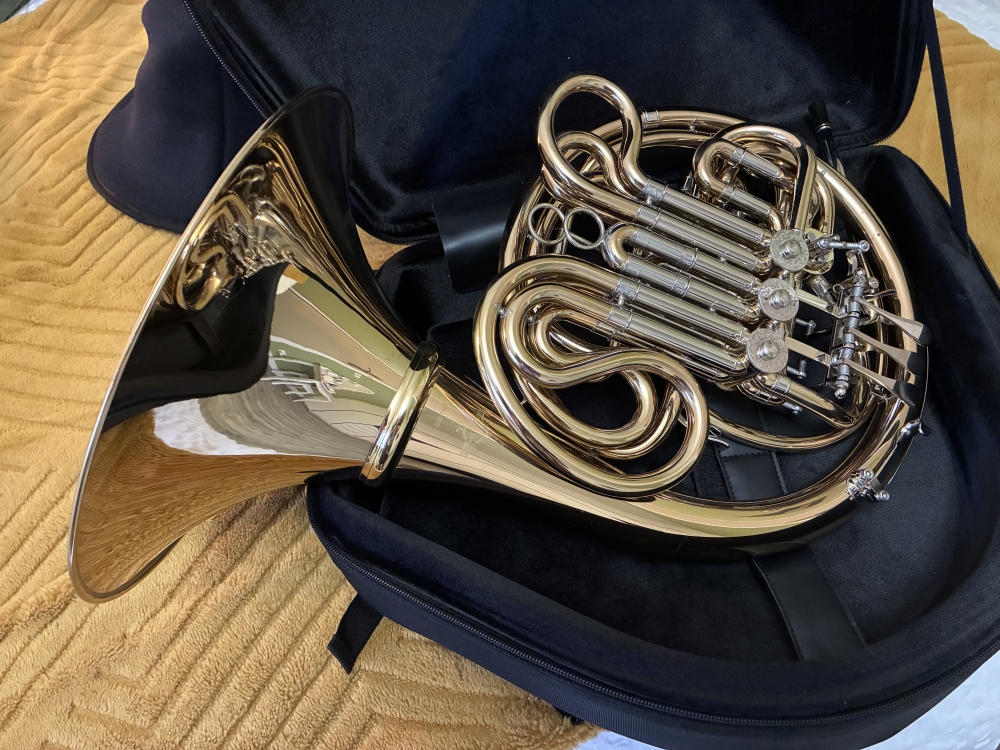 Cor d'harmonie Thomann HR-301G F-/Bb