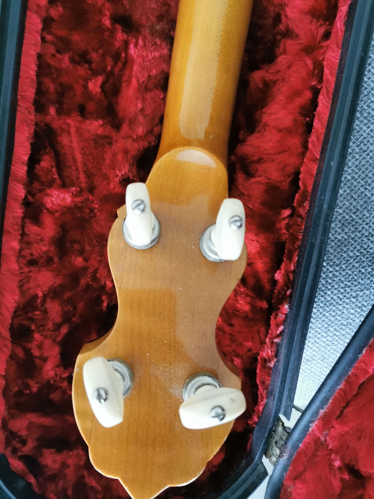 Banjo 4 cordes Bluegrass