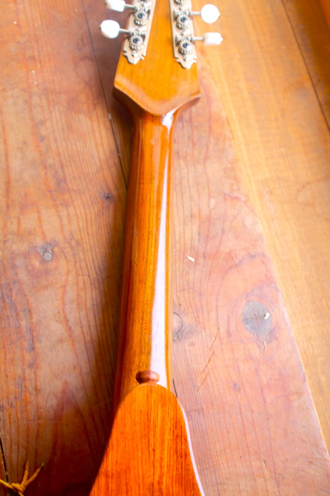 Mandole Spiggle