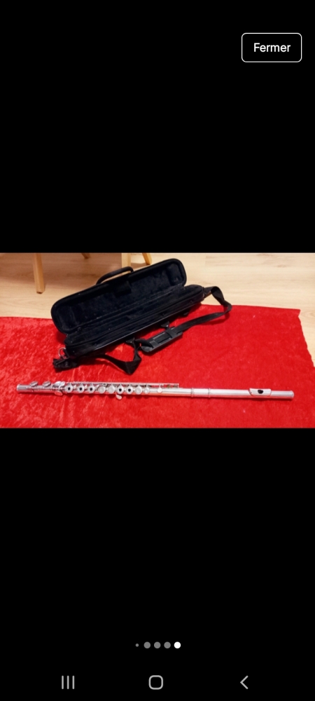 Flûte Muramatsu EXIII-RCI