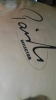 Cymbal Paiste Reflector Signature