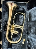 Bugle Yamaha YTR-8310ZG