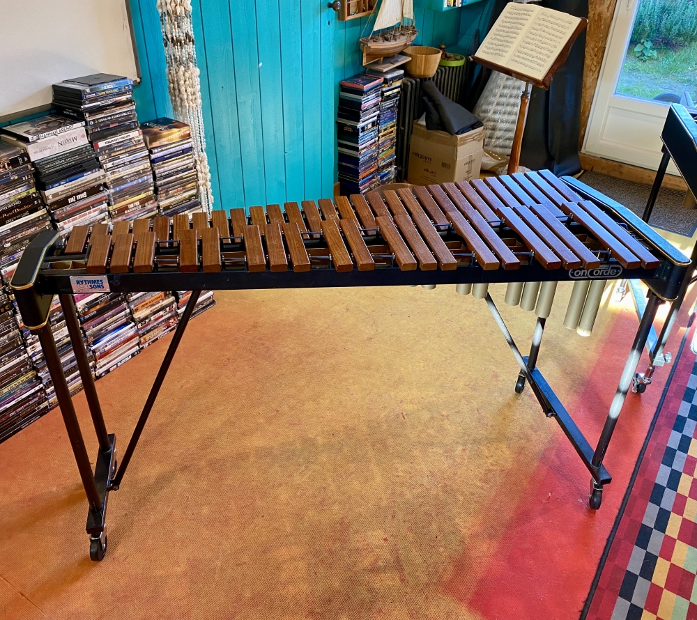 Xylophone Concorde X4002
