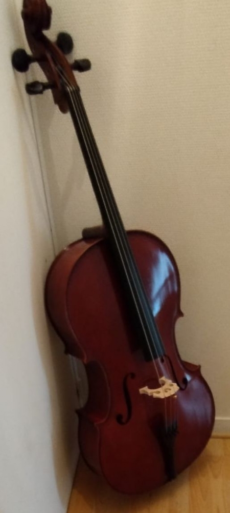 Violoncelle 4/4 Gewa Pure Ew