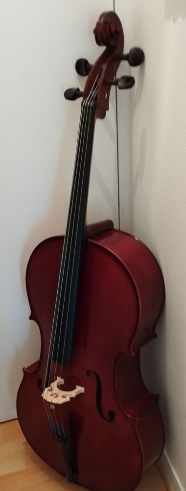 Violoncelle 4/4 Gewa Pure Ew