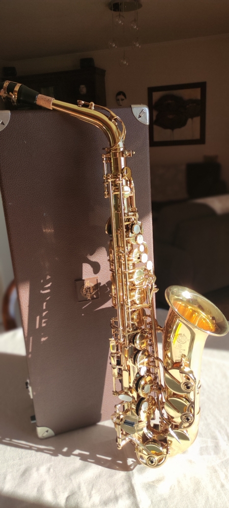 Saxophone alto Selmer Super Action 80