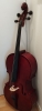 Violoncelle 4/4 Gewa Pure Ew