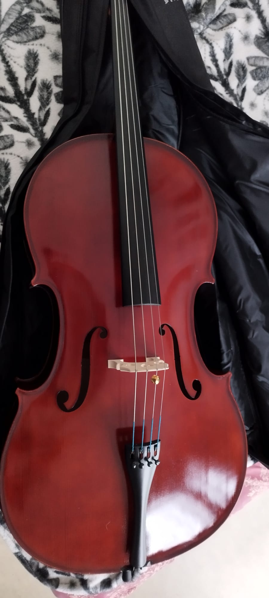 Violoncelle 4/4 Gewa Pure Ew Très bon état -  reconditionné disponible sur Zic Ethic