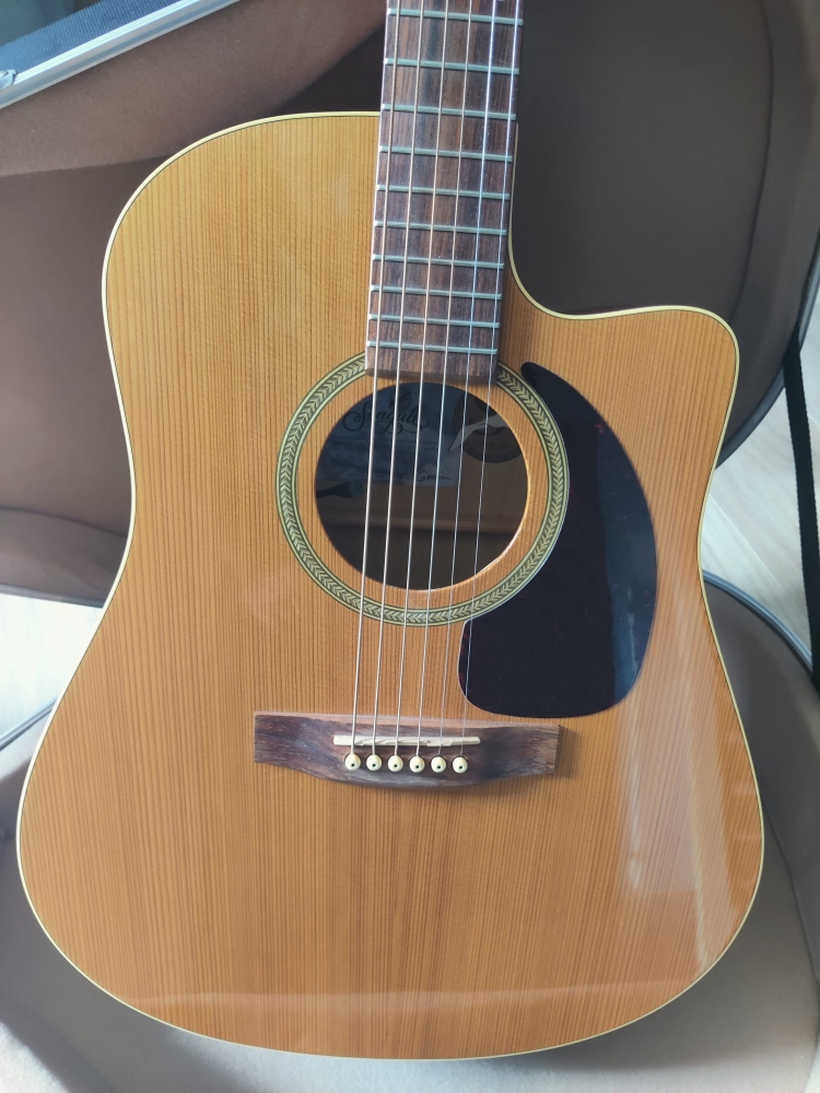 Guitare éléctro-acoustique Seagull S6+CW