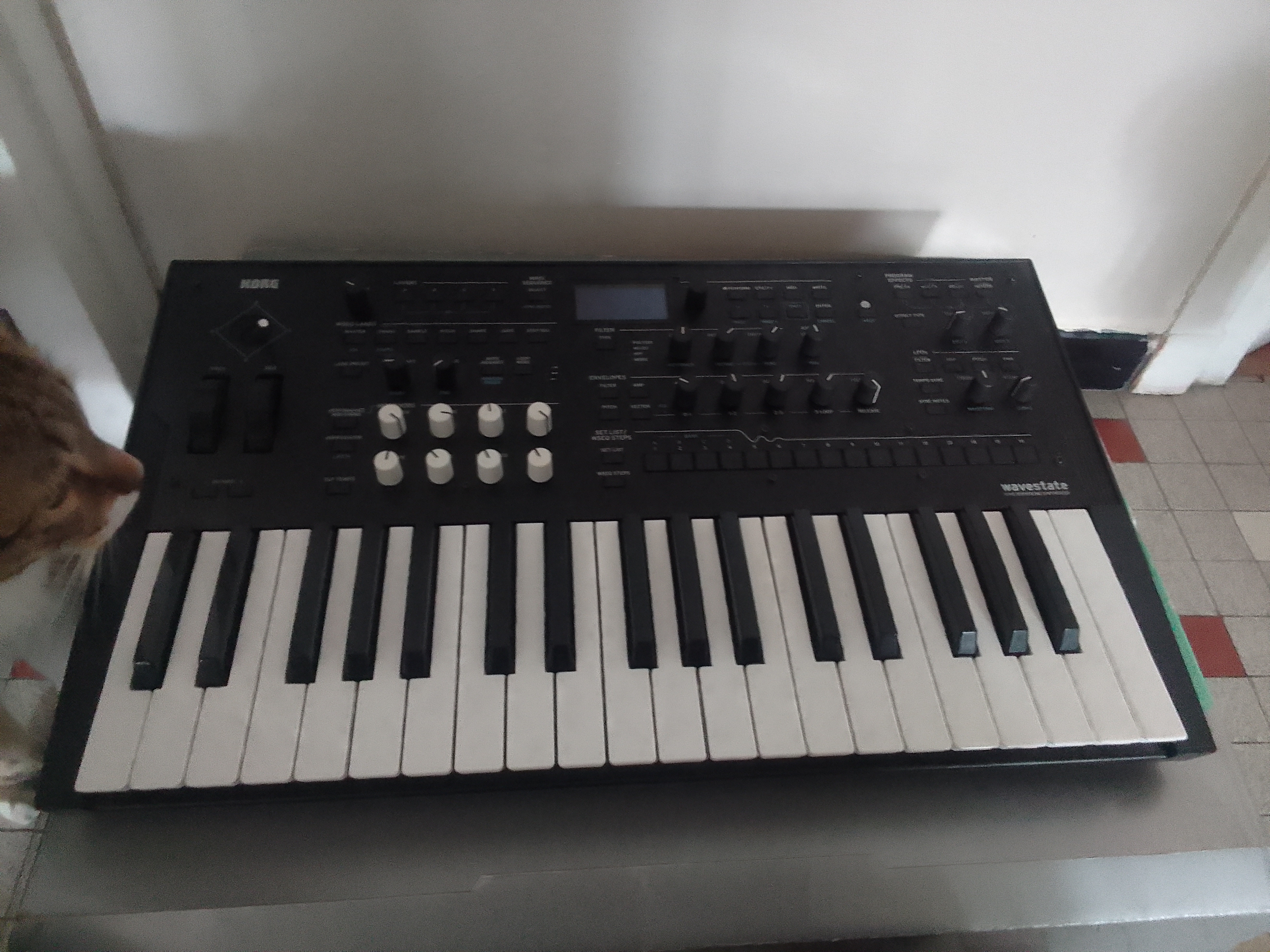Acheter Synthétiseur Wavestate Korg MK2 Très bon état - 550,00 € Synthétiseur Wavestate Korg MK2 Très bon état - reconditionné disponible sur Zic Ethic