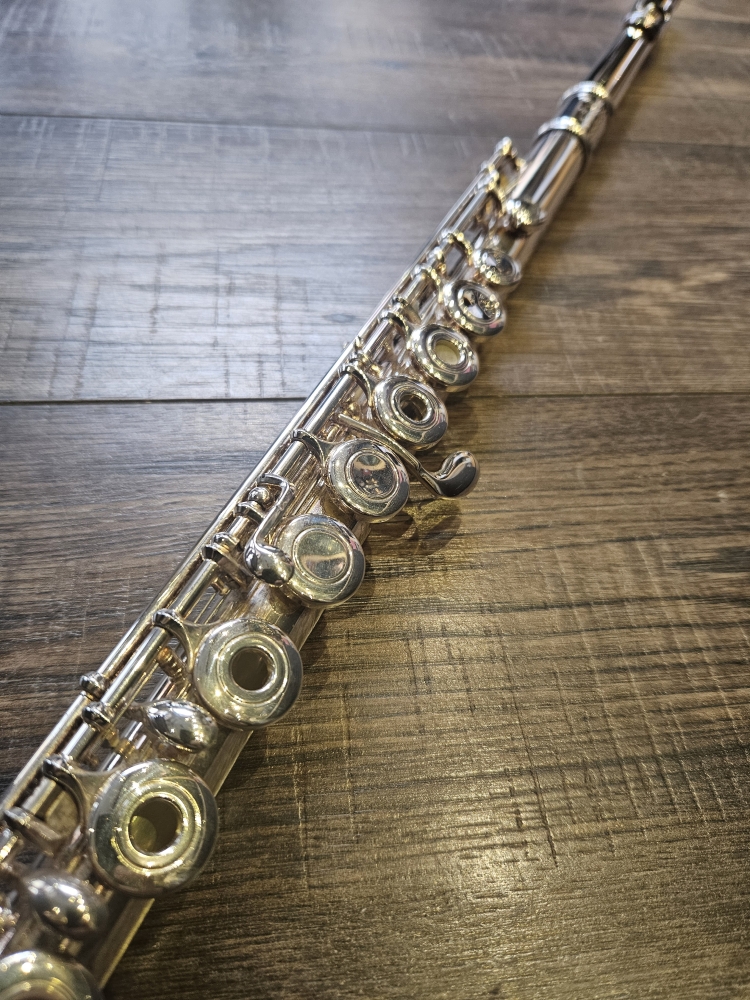 Flute traversière Trevor James N10x