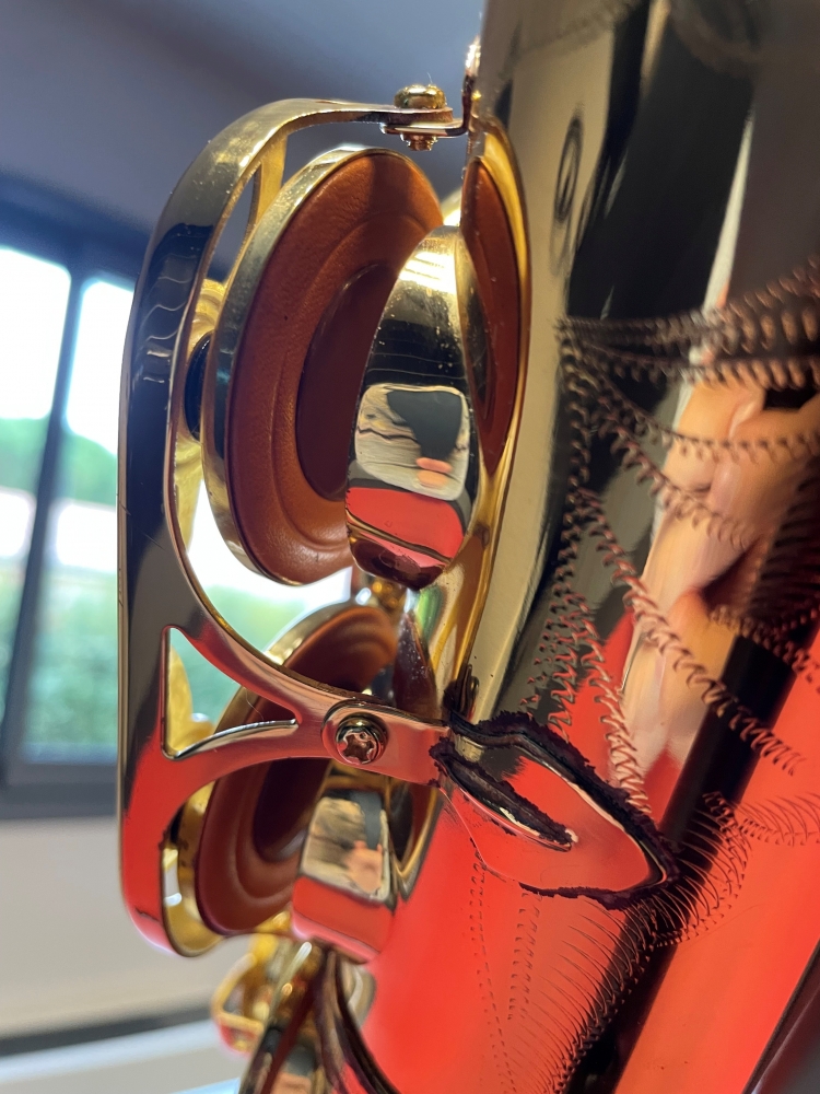 Saxophone alto Yanagisawa 900