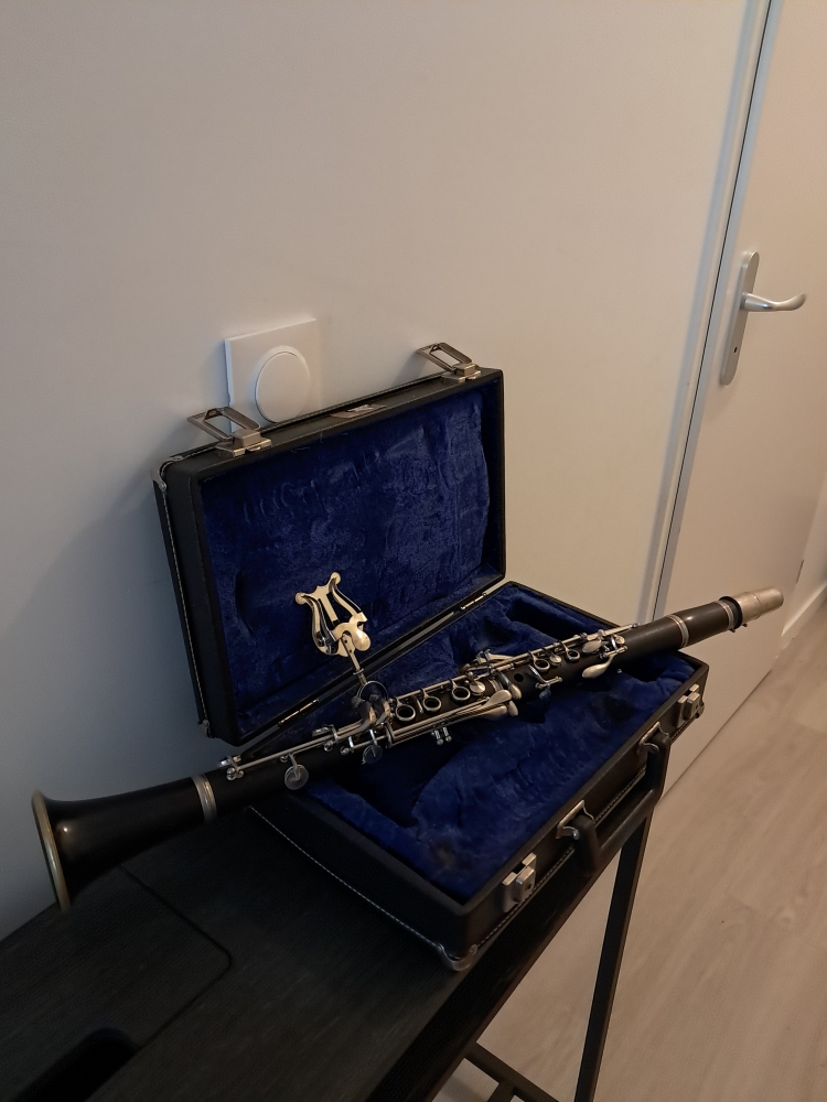 Clarinette Buffet Crampon 5RV