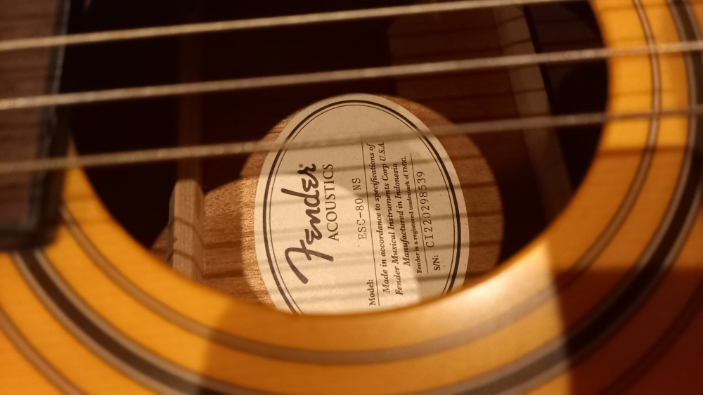 Guitare classique Fender ESC-80 NS