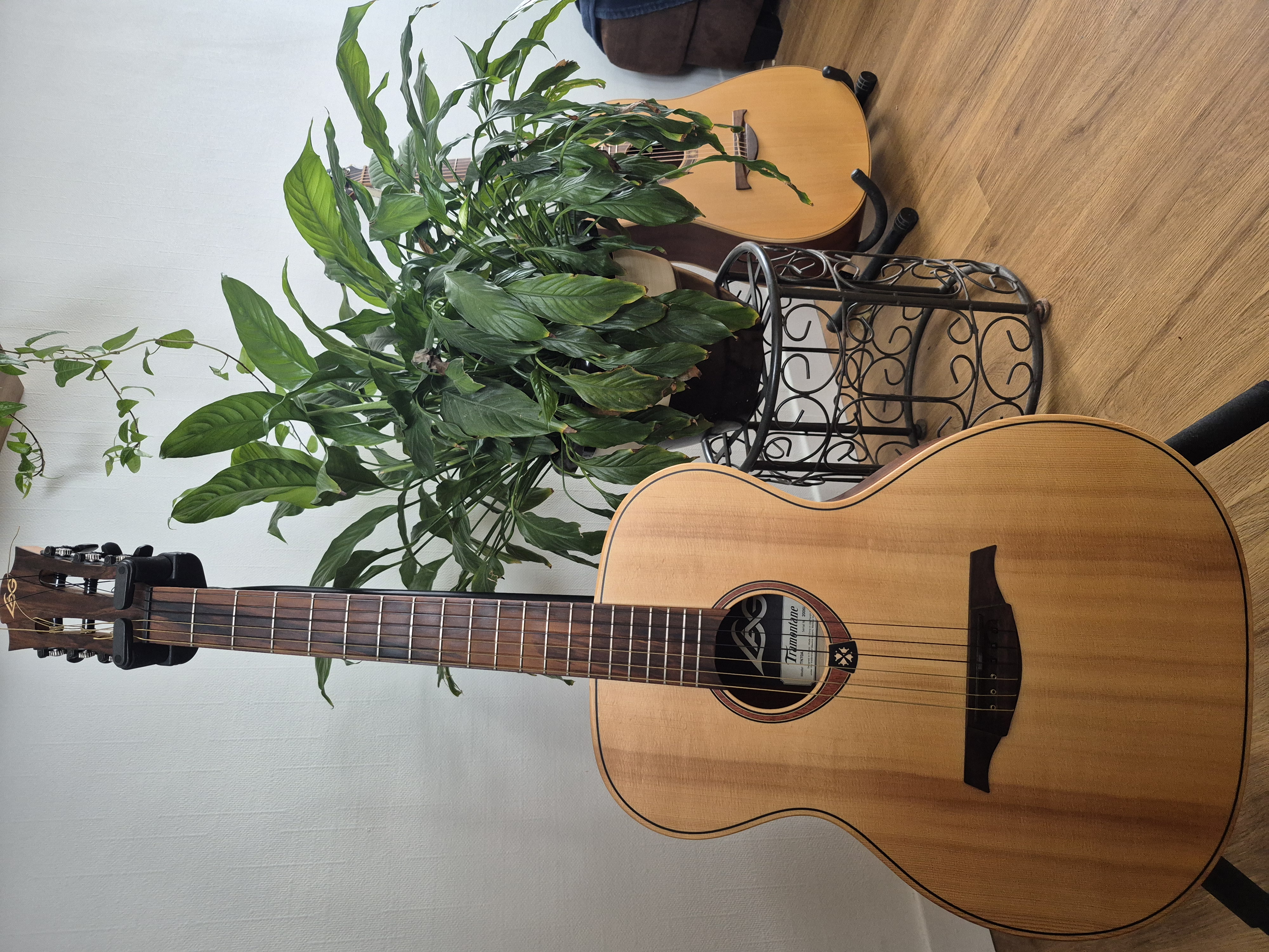 Guitare folk Lag TN70A Très bon état -  reconditionné disponible sur Zic Ethic