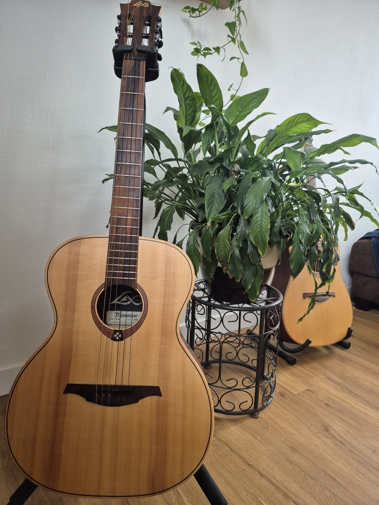 Guitare folk Lag TN70A
