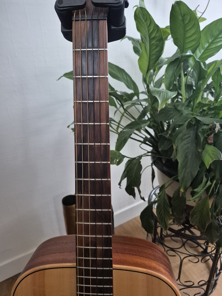 Guitare folk Lag TN70A