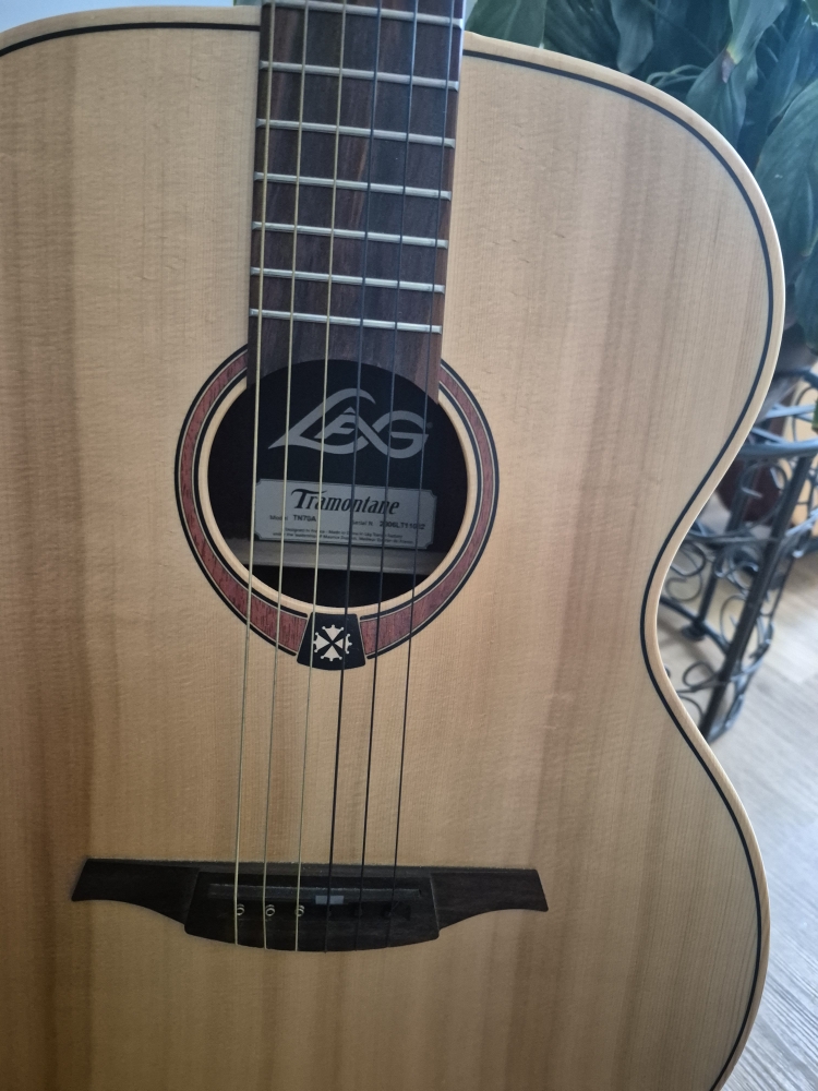 Guitare folk Lag TN70A