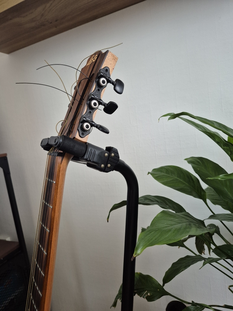 Guitare folk Lag TN70A