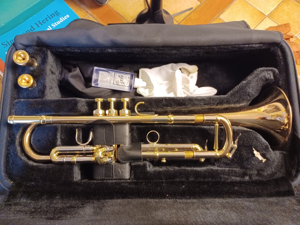 Trompette Sib Schagerl Aglaéa