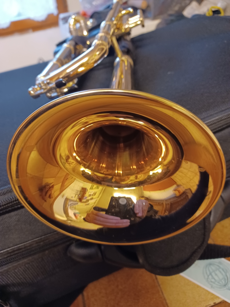 Trompette Sib Schagerl Aglaéa