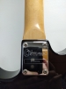 Guitare éclectique Charvel CX 291