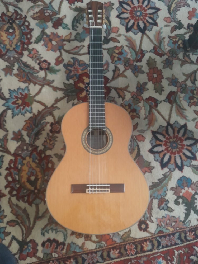 Guitare Maurice Dupont