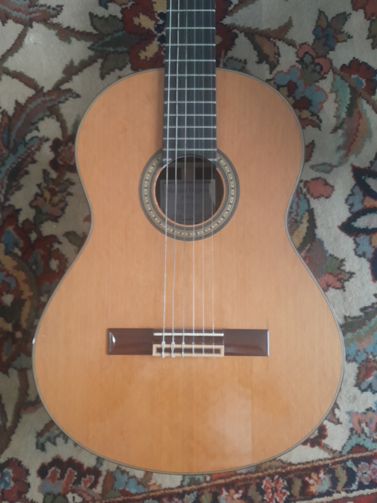 Guitare Maurice Dupont