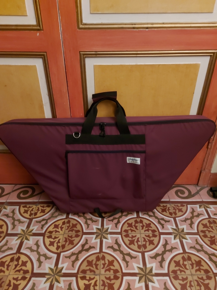 Dulcimer à marteaux Dusty Strings D45