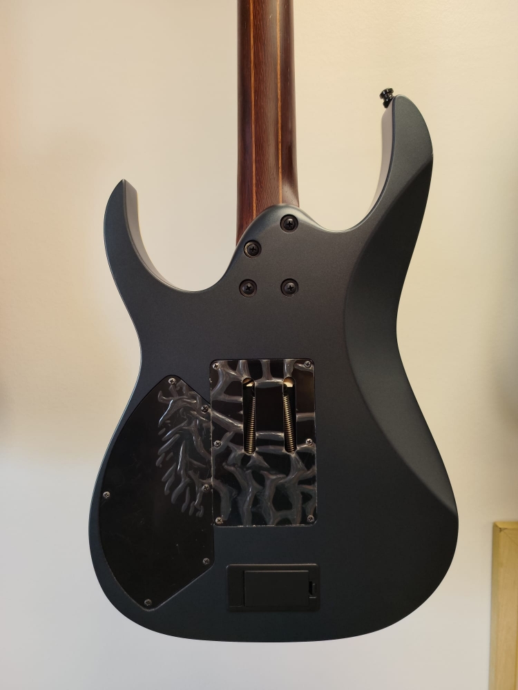 Guitare électrique IBANEZ RG 60ALS Axion Label