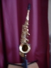 Saxophone alto Advences