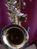 Saxophone alto Advences