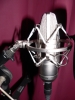 Microphone APEX 435 