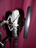 Microphone APEX 435 