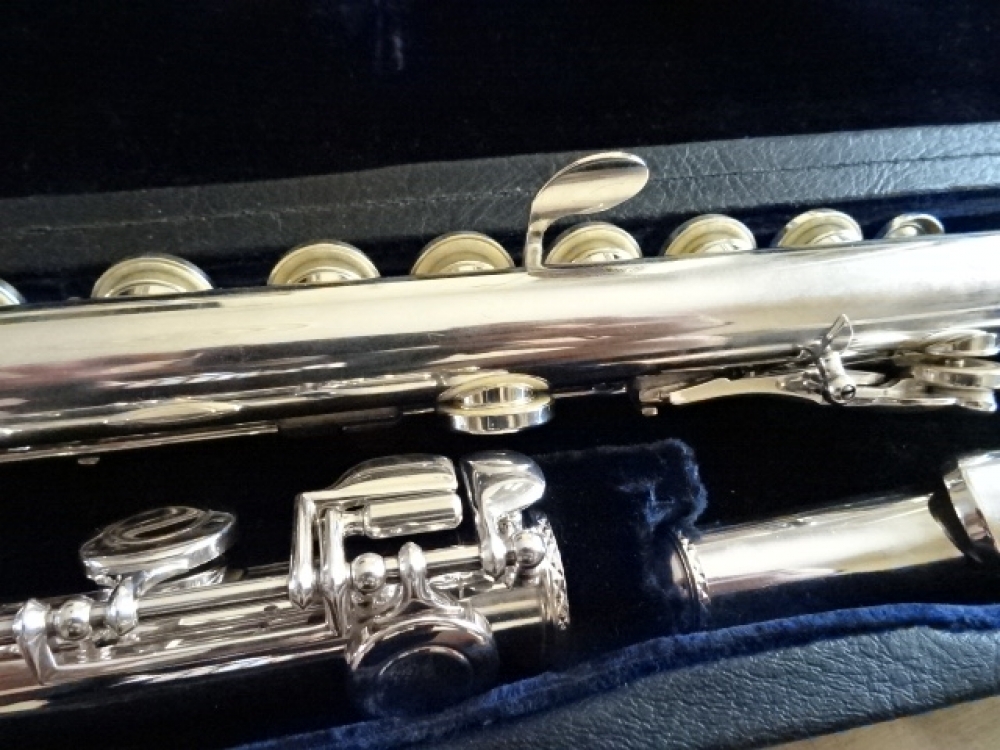 Flute Traversière Trevor James Cantabile