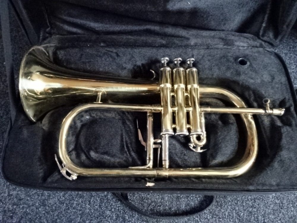 Bugle sib Winged