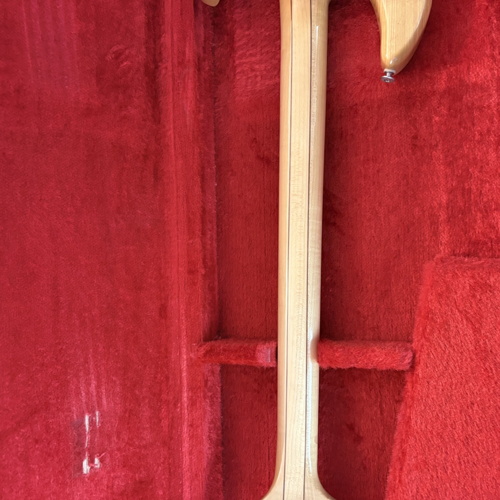 Basse Aria Pro II TSB 550 1980 Gaucher