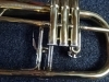 Bugle sib Winged