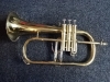 Bugle sib Winged