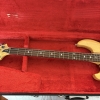 Basse Aria Pro II TSB 550 1980 Gaucher