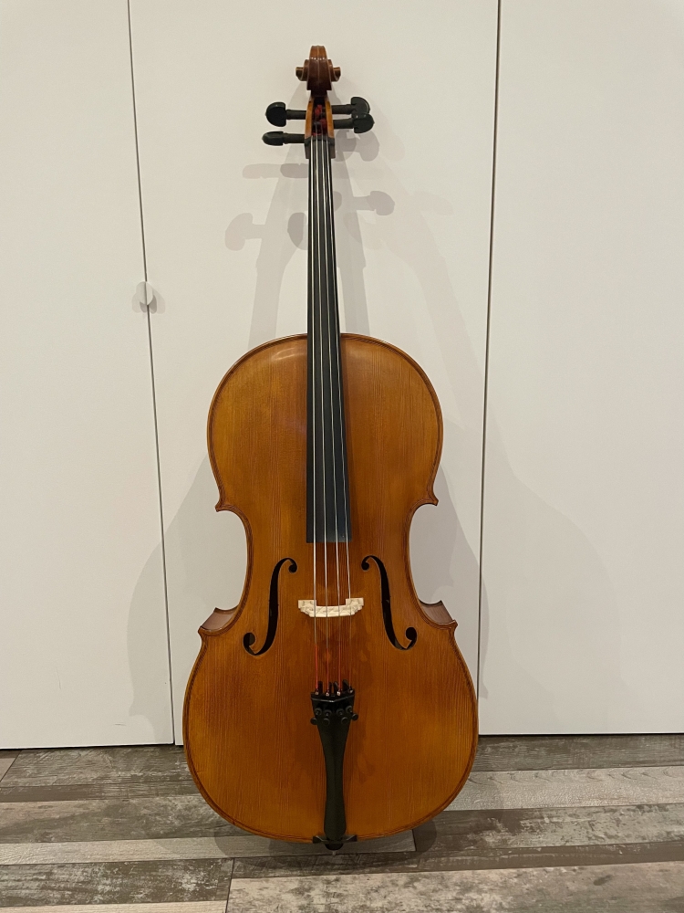 Violoncelle 4/4 Gliga Maestro